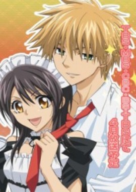 ПРЕЗИДЕНТ СТУДСОВЕТА - ГОРНИЧНАЯ! [2010] / KAICHOU WA MAID-SAMA!